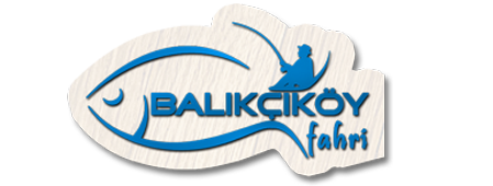 balikcikoyfahricayyolu